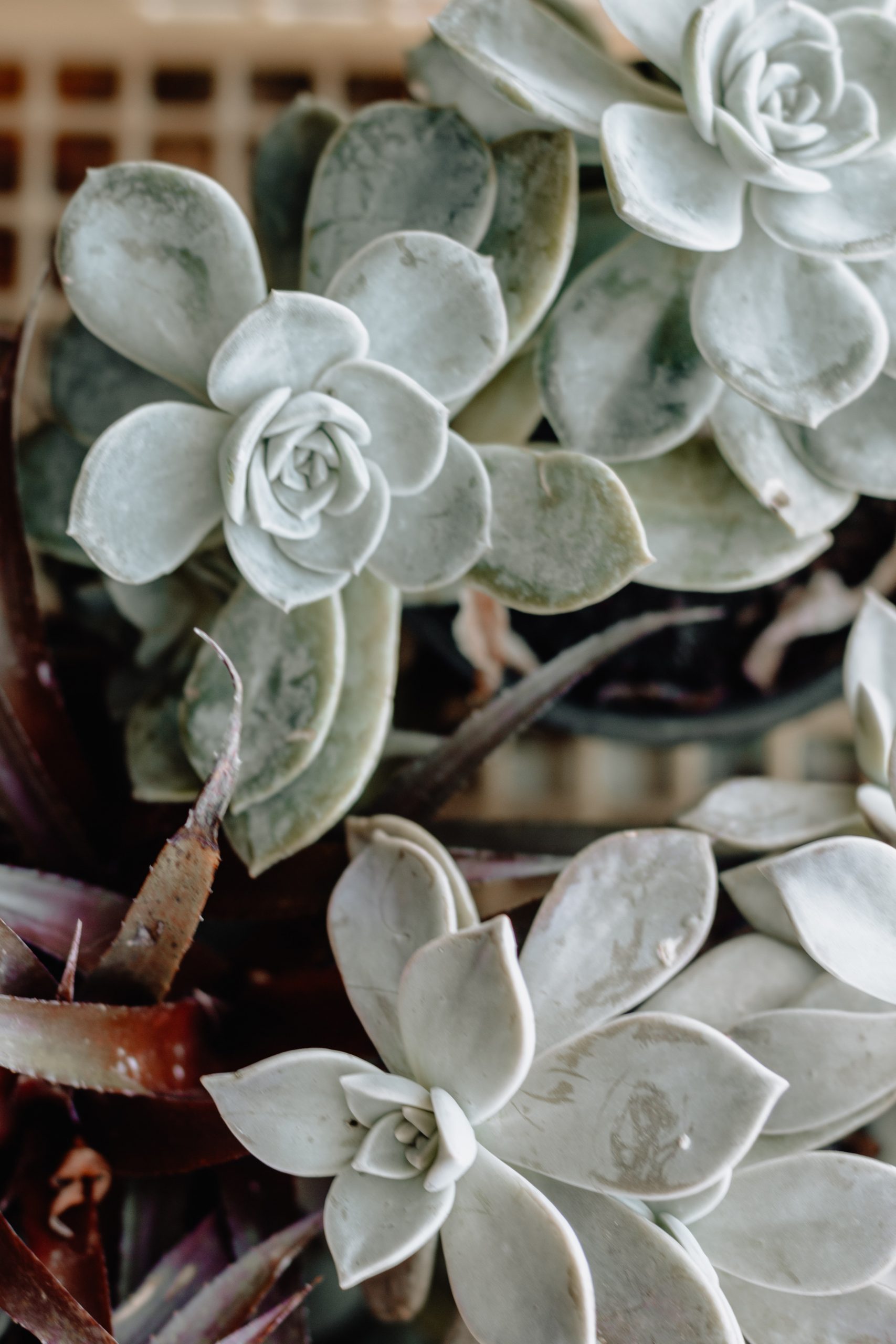 sincerely-media-4RfEahtS5VA-unsplash